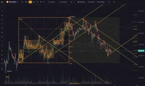 Traders Week Charts Gann time cycles and fan